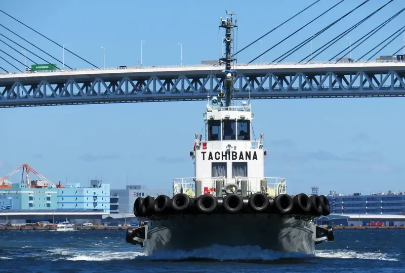 TACHIBANA General Cargo IMO 9449807 photo 6