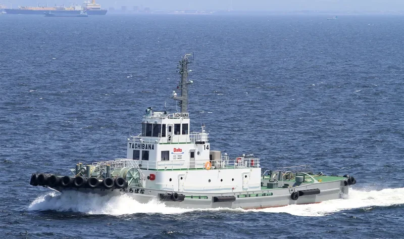 TACHIBANA General Cargo IMO 9449807 photo 9