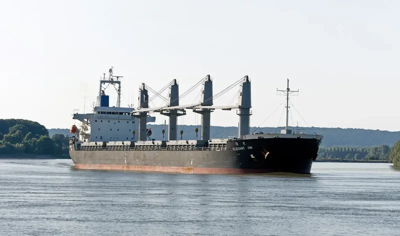 ELEGANT SW Bulk Carrier IMO 9450167 photo 8