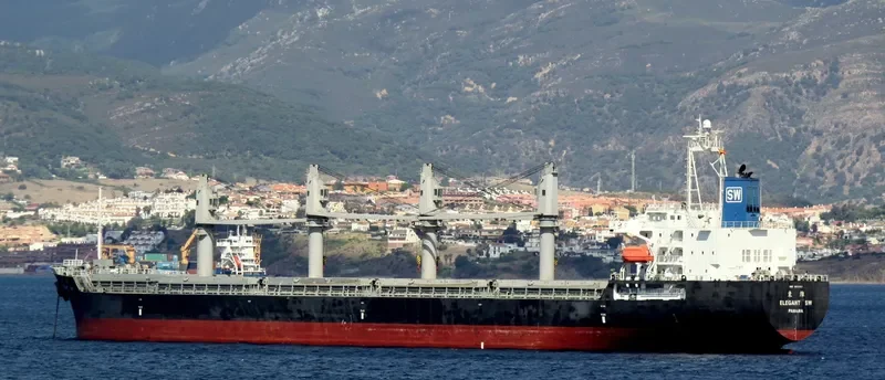 ELEGANT SW Bulk Carrier IMO 9450167 photo 10