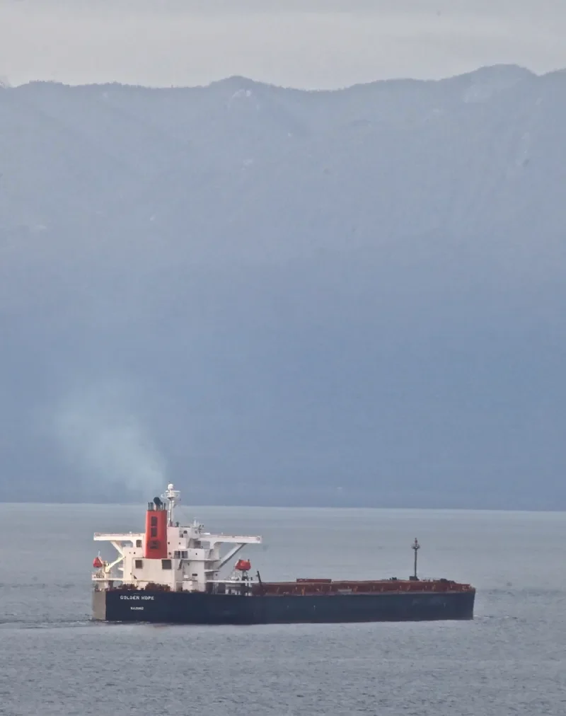 WINNING PRIDE Bulk Carrier IMO 9450234 photo 2