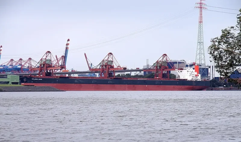 WINNING PRIDE Bulk Carrier IMO 9450234 photo 4