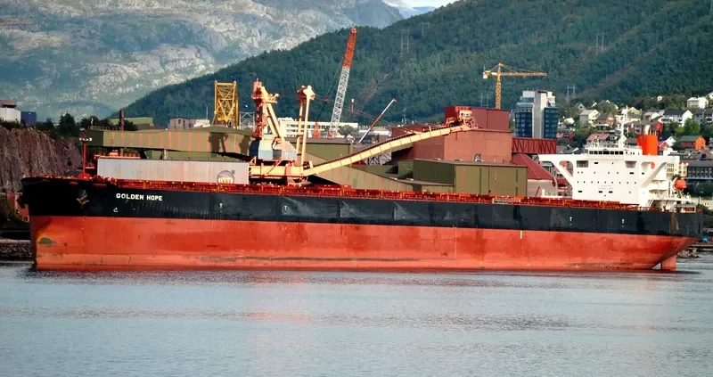 WINNING PRIDE Bulk Carrier IMO 9450234 photo 8
