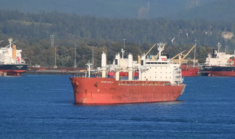 FOUR OTELLO Bulk Carrier IMO 9450662 photo 7