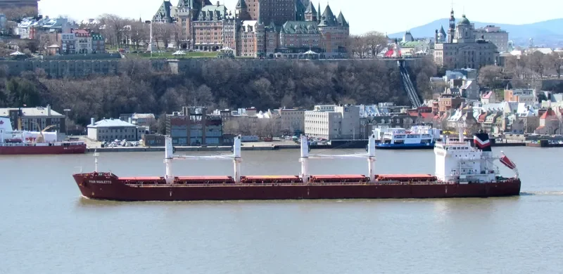 FOUR RIGOLETTO Bulk Carrier IMO 9450674 photo 4