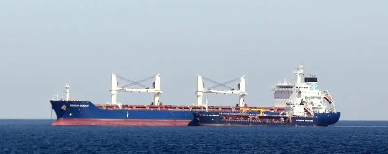 MAPUTO Bulk Carrier IMO 9450739 photo 5