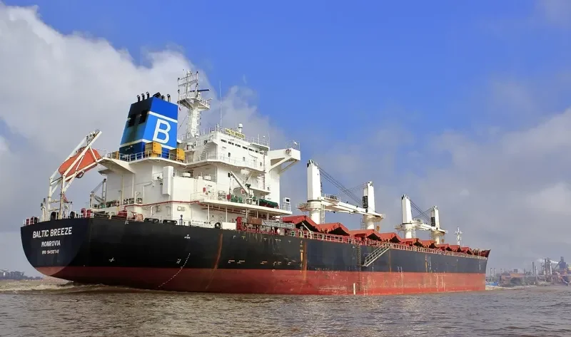 GARNET Bulk Carrier IMO 9450741 photo 2