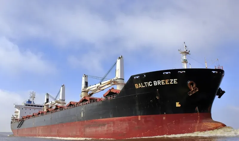 GARNET Bulk Carrier IMO 9450741 photo 3