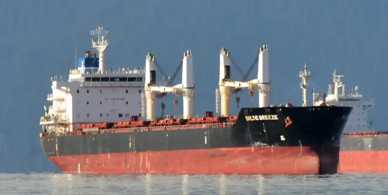 GARNET Bulk Carrier IMO 9450741 photo 6