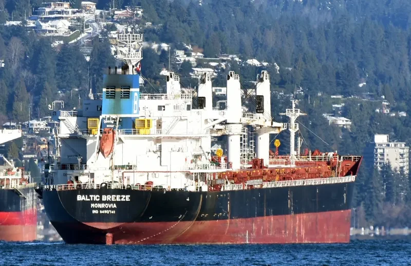 GARNET Bulk Carrier IMO 9450741 photo 8