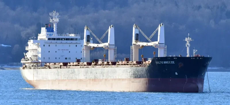 GARNET Bulk Carrier IMO 9450741 photo 9