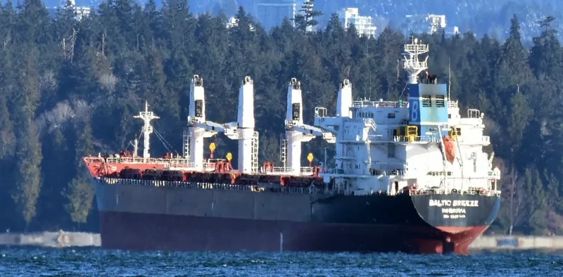 GARNET Bulk Carrier IMO 9450741 photo 10