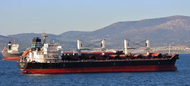 GENCO AVRA Bulk Carrier IMO 9450753 photo 9