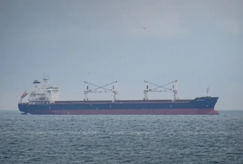 LONGSHORE Bulk Carrier IMO 9450806