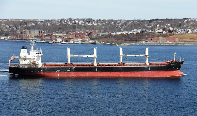 LONGSHORE Bulk Carrier IMO 9450806 photo 9