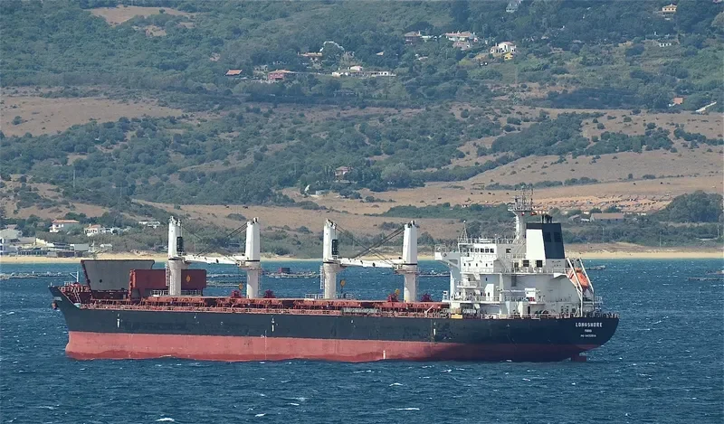 LONGSHORE Bulk Carrier IMO 9450806 photo 10