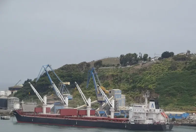MANZANILLO Bulk Carrier IMO 9450818 photo 7