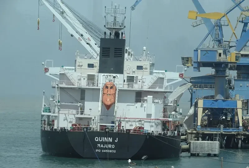 MANZANILLO Bulk Carrier IMO 9450818 photo 8
