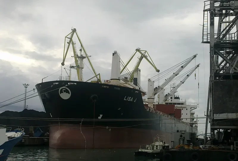 MANZANILLO Bulk Carrier IMO 9450818 photo 9