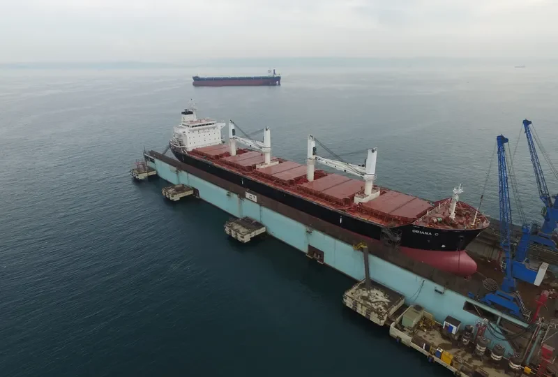 ORIANA C Bulk Carrier IMO 9450844 photo 5