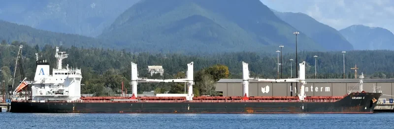 ORIANA C Bulk Carrier IMO 9450844 photo 8