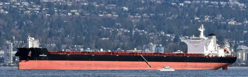 ANGLO ALEXANDRIA Bulk Carrier IMO 9451044 photo 7