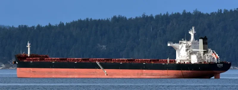 ANGLO ALEXANDRIA Bulk Carrier IMO 9451044 photo 8