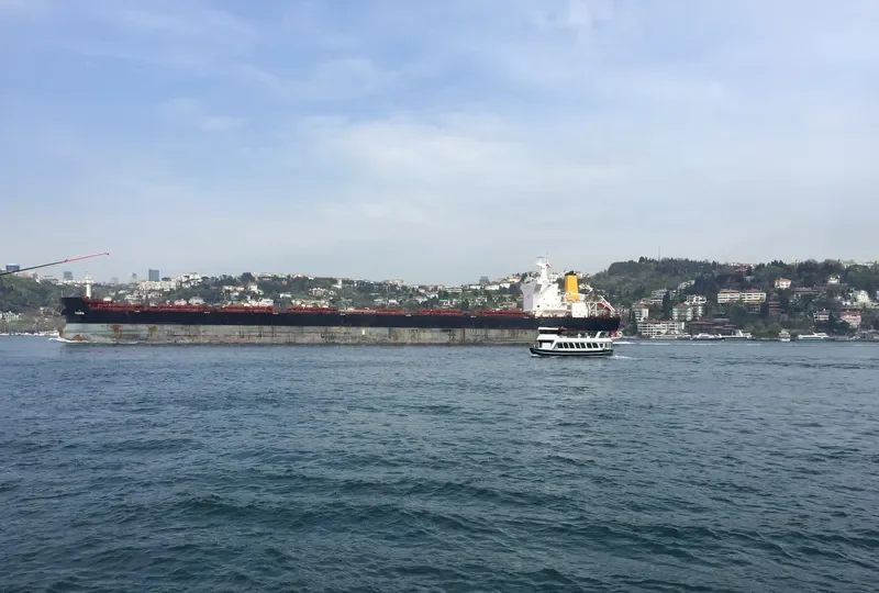 ANGLO ALEXANDRIA Bulk Carrier IMO 9451044 photo 9