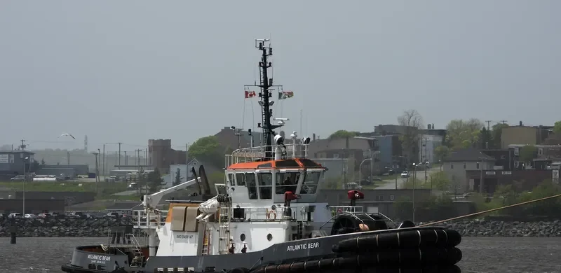 ATLANTIC BEAR General Cargo IMO 9451147 photo 10