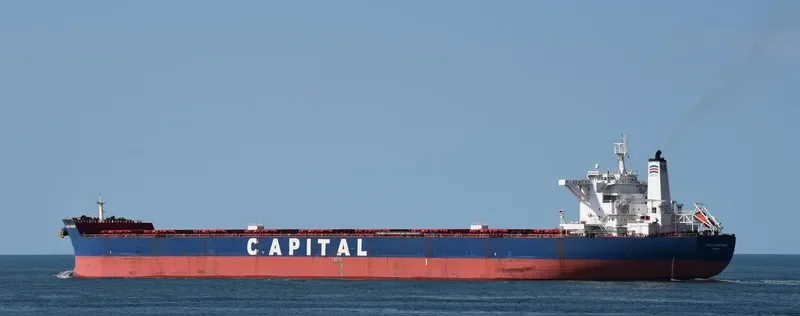 CAPE AGAMEMNON Bulk Carrier IMO 9451264