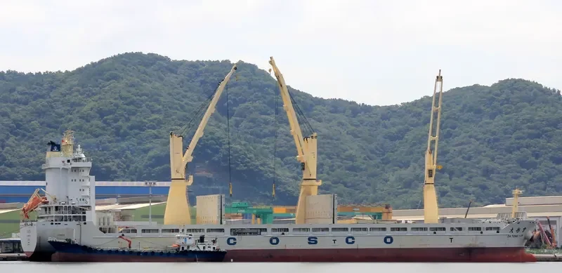DA TONG YUN General Cargo IMO 9451343 photo 7