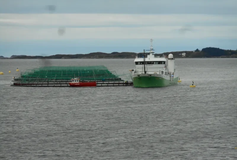 RONJA CARRIER General Cargo IMO 9452311 photo 2