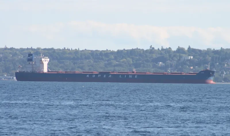 K.DAPHNE Bulk Carrier IMO 9452397 photo 9