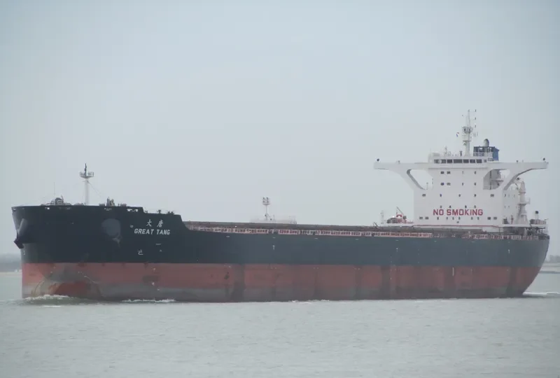 GREAT TANG Bulk Carrier IMO 9452464 photo 2