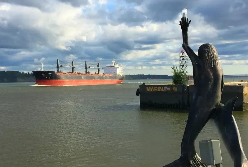 SEAGULL Bulk Carrier IMO 9452505