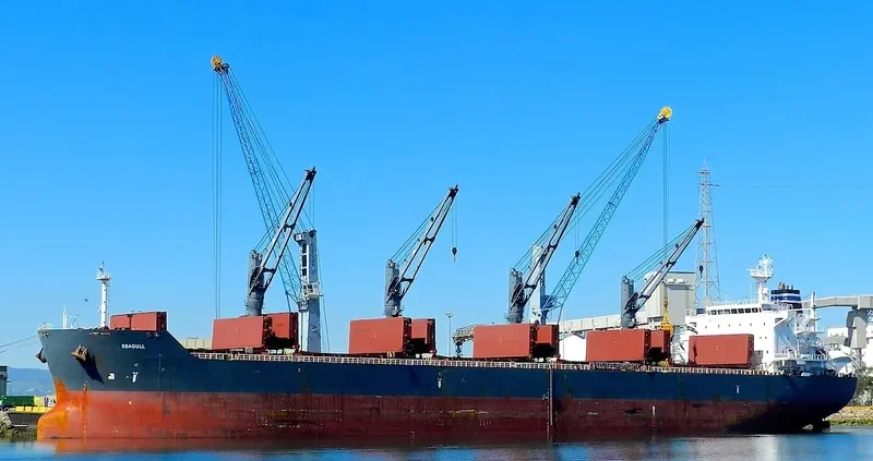 SEAGULL Bulk Carrier IMO 9452505 photo 5