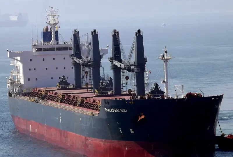 SEAGULL Bulk Carrier IMO 9452505 photo 6