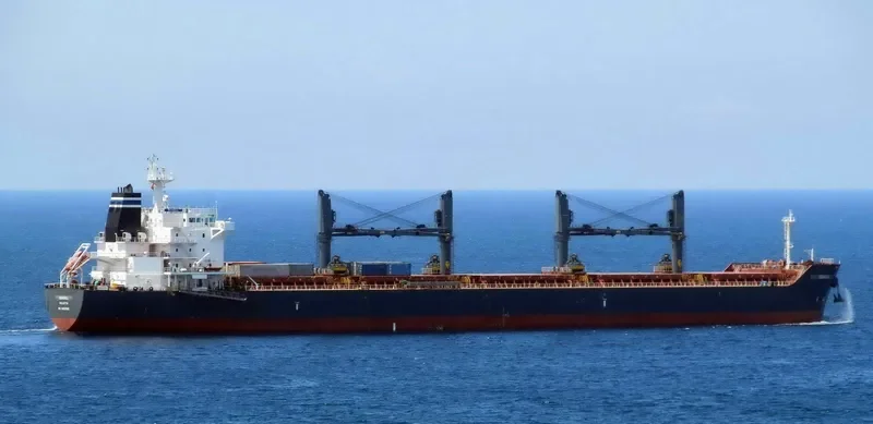 SEAGULL Bulk Carrier IMO 9452505 photo 8