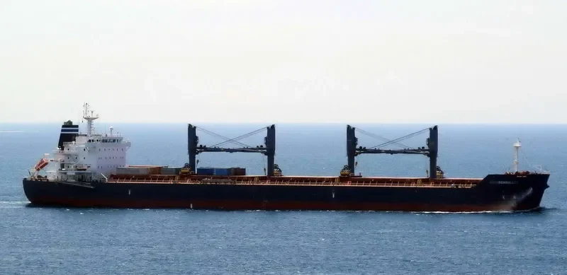 SEAGULL Bulk Carrier IMO 9452505 photo 10