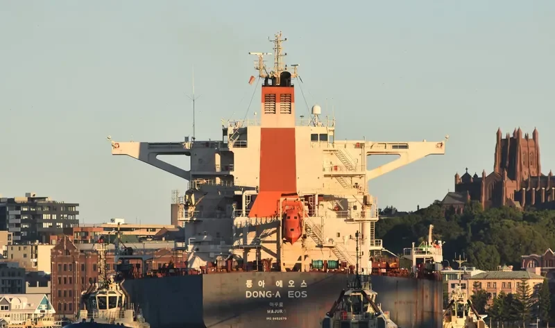 DONG A EOS Bulk Carrier IMO 9452579 photo 5