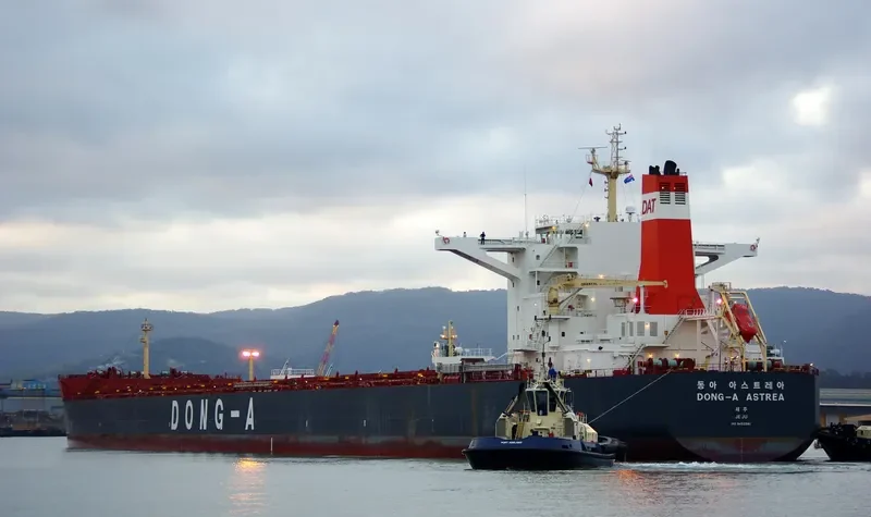 DONG A ASTREA Bulk Carrier IMO 9452581 photo 4