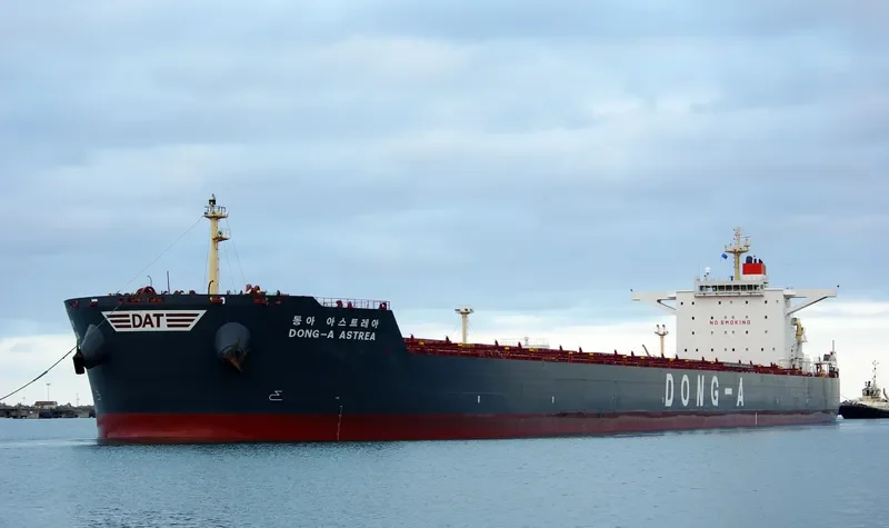 DONG A ASTREA Bulk Carrier IMO 9452581 photo 5