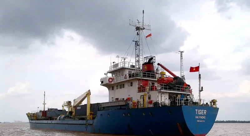 TIGER General Cargo IMO 9452751 photo 3
