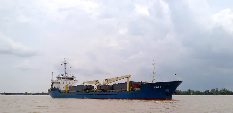 TIGER General Cargo IMO 9452751 photo 6