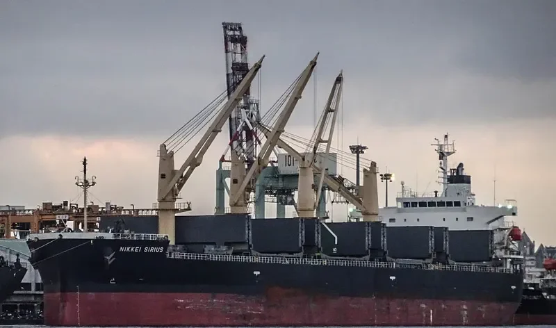 NIKKEI SIRIUS Bulk Carrier IMO 9452919 photo 2