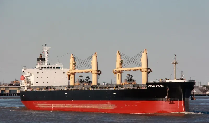 NIKKEI SIRIUS Bulk Carrier IMO 9452919 photo 3