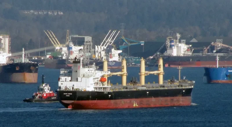 NIKKEI SIRIUS Bulk Carrier IMO 9452919 photo 5
