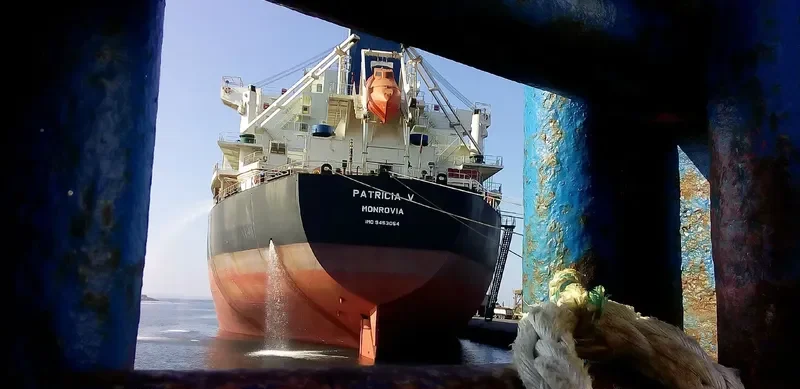 PATRICIA V Bulk Carrier IMO 9453054 photo 4
