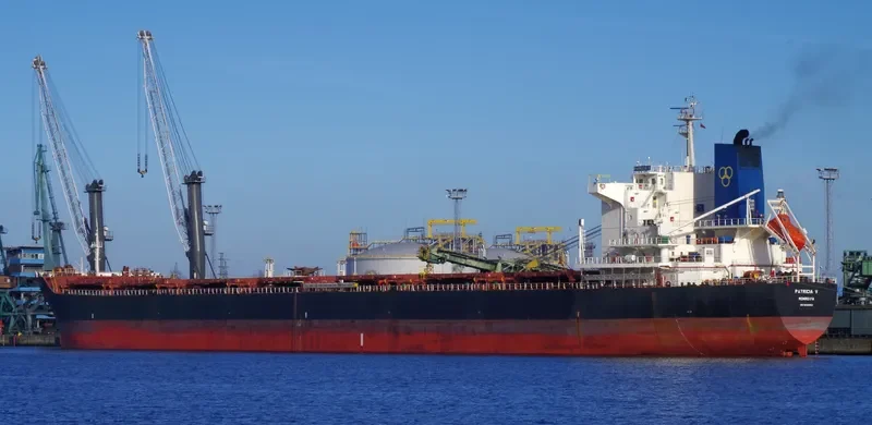 PATRICIA V Bulk Carrier IMO 9453054 photo 9