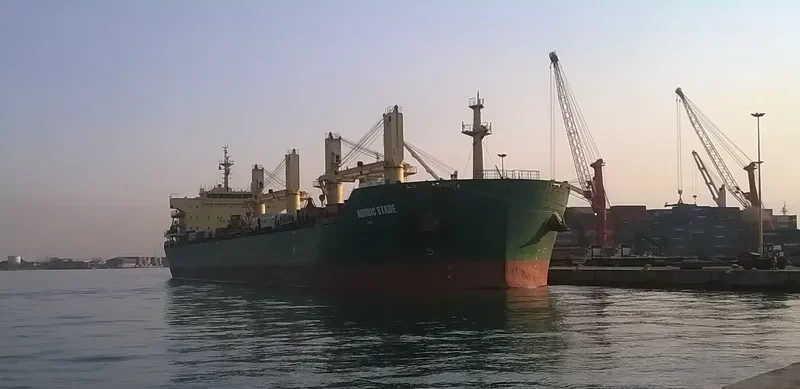 OCEAN KNIGHT Bulk Carrier IMO 9453248 photo 10
